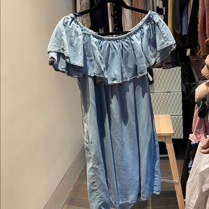 Zara Denim Dress